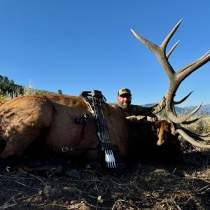 2024 archery bull 1.jpg