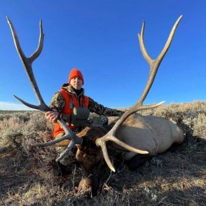 Trophy Elk Colorado with Ivory and Antler Outfitters 2.JPG