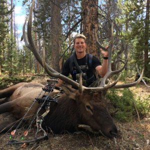 Trophy Elk Colorado with Ivory and Antler Outfitters.JPG