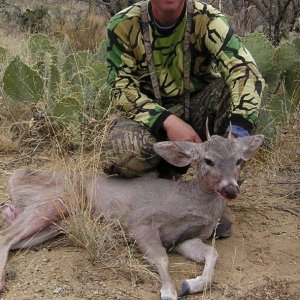 Coues 2006 AZ 001 (2).jpg