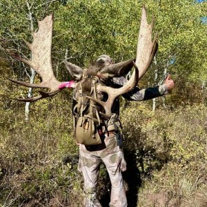 Big Bull Moose Packout