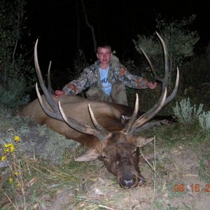 Big Bull Elk for StraightSix