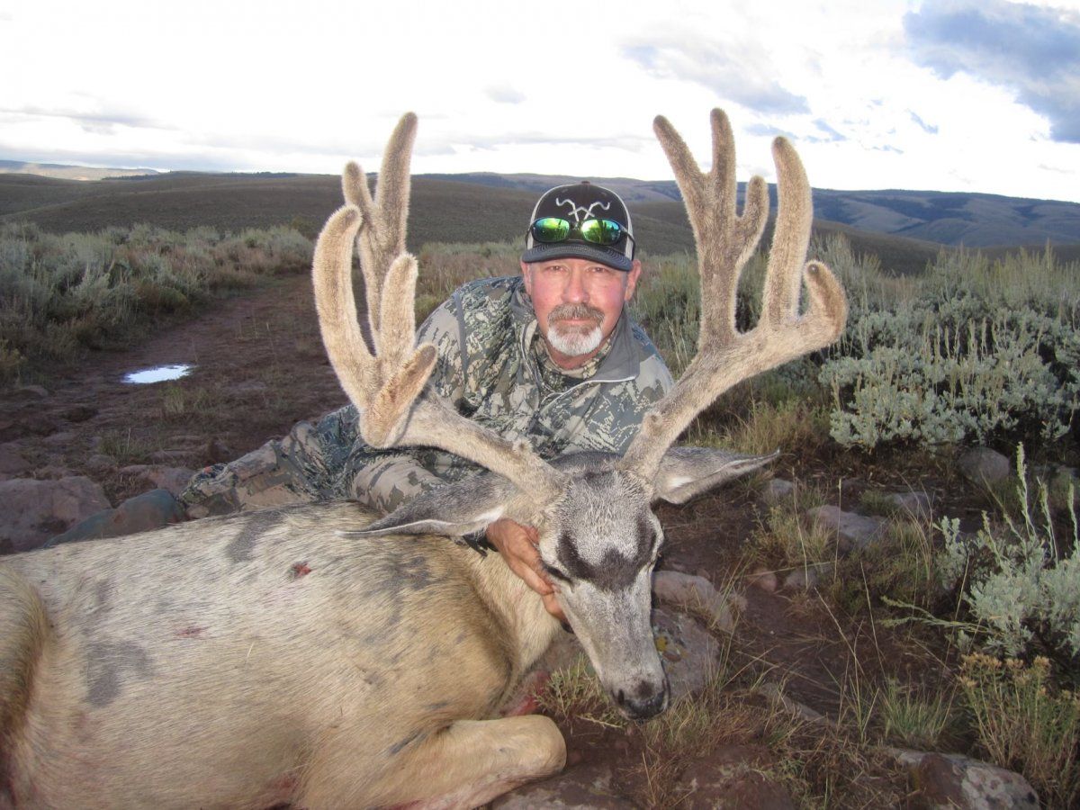 2023 Bryan Henderson WY buck.jpeg