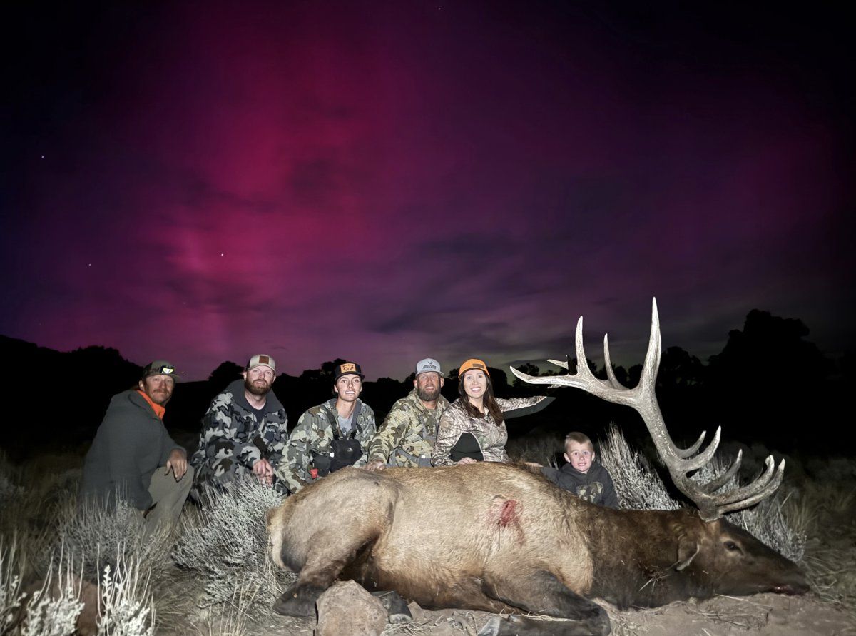 2024 Utah Bull Elk