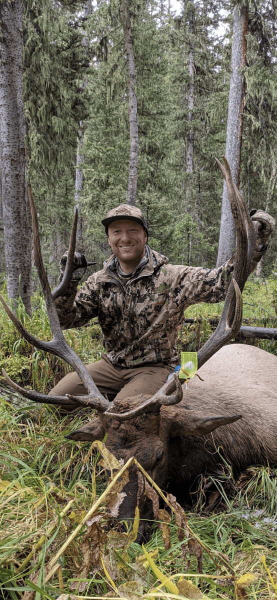 Archery Bull Fun