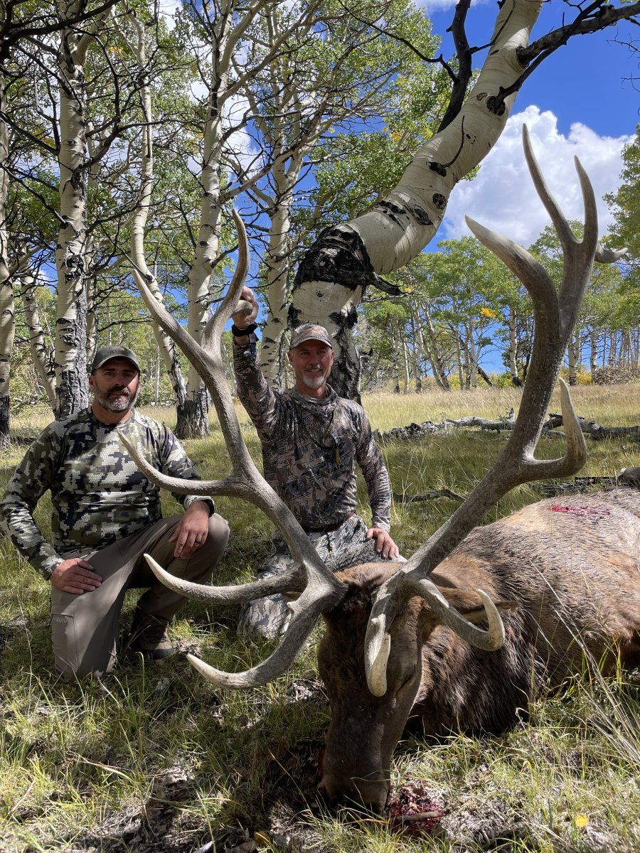 Big Archery Bull