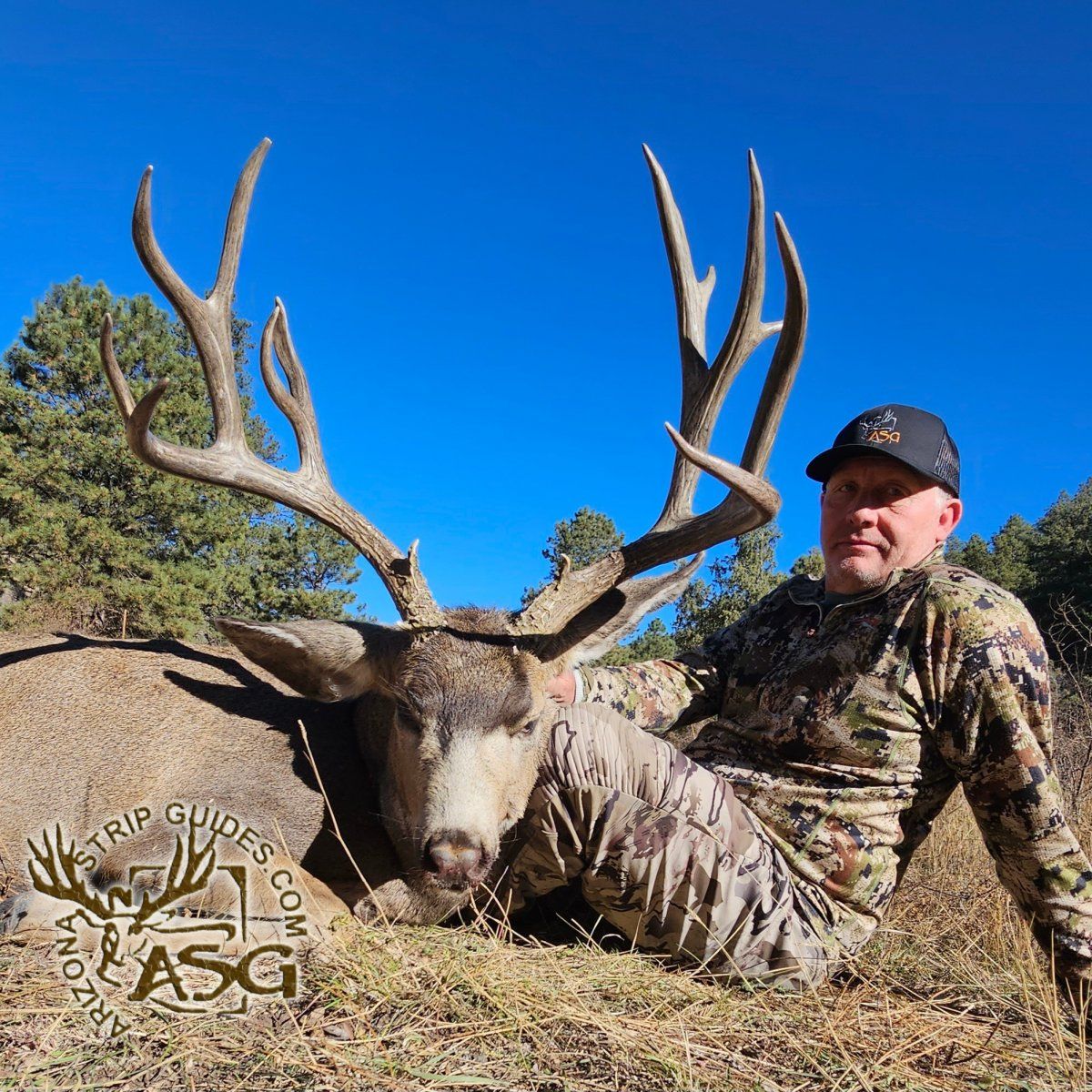 Big Buck 5 with Arizona Strip Guides.jpg