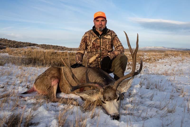 CO Mule Deer Buck.jpg