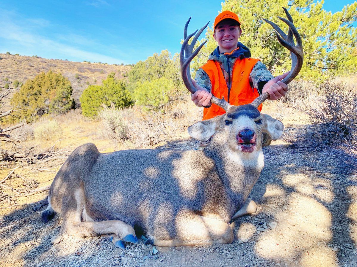 Colorado 3rd Season Muley