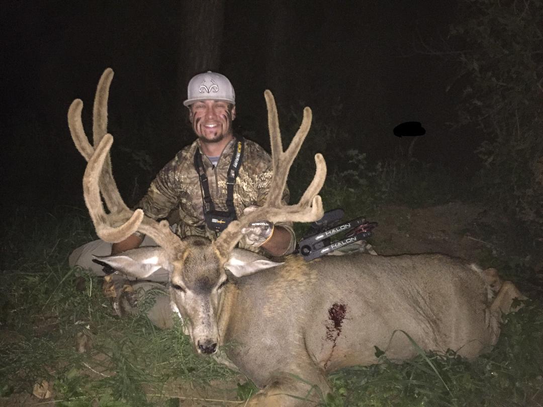 Colorado Archery Mule Deer.jpg