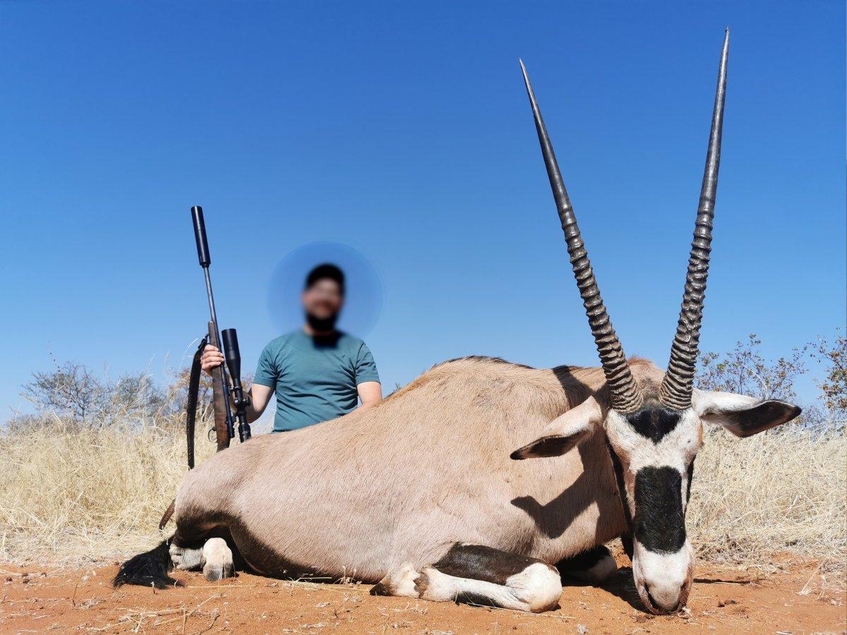 Gemsbok 1.jpg