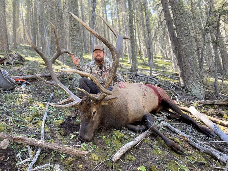 H and A Outfitters Big 6x6 Bull.JPG