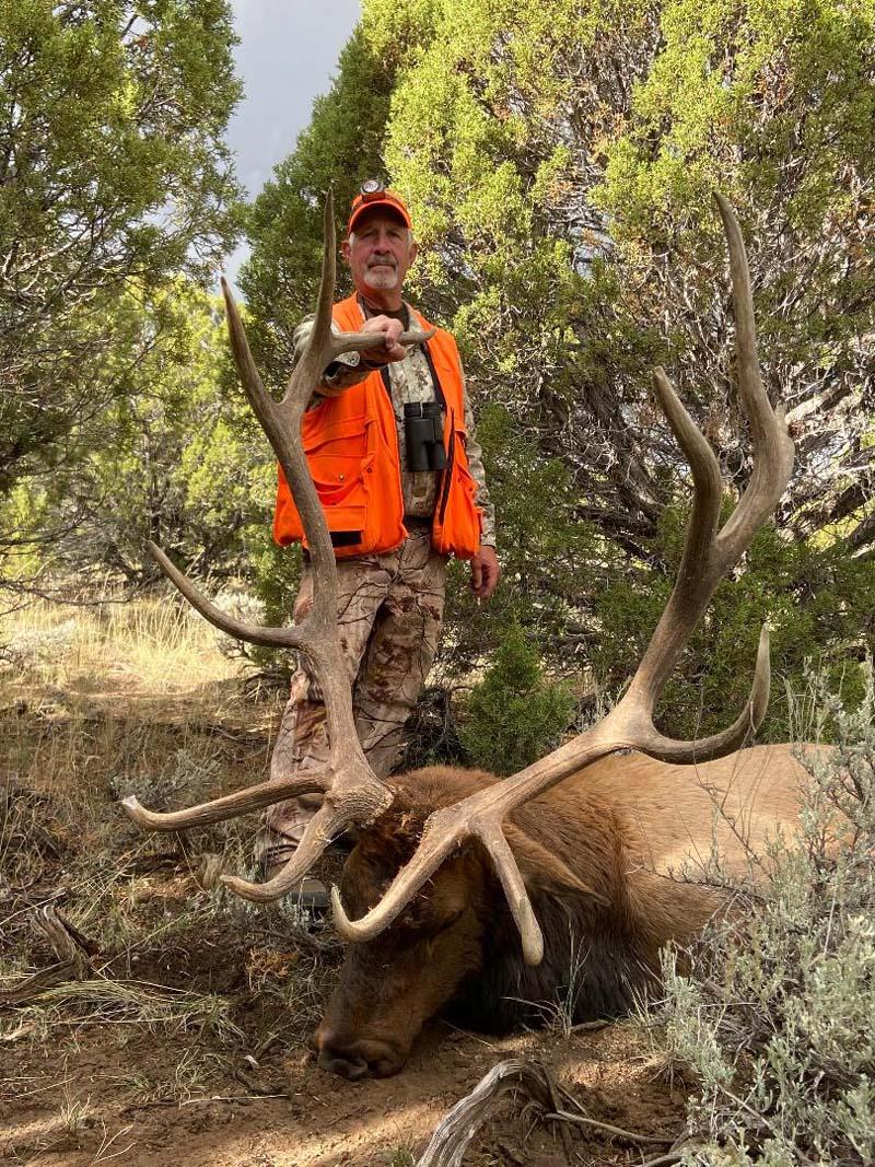 Huge Colorado Bull.jpg