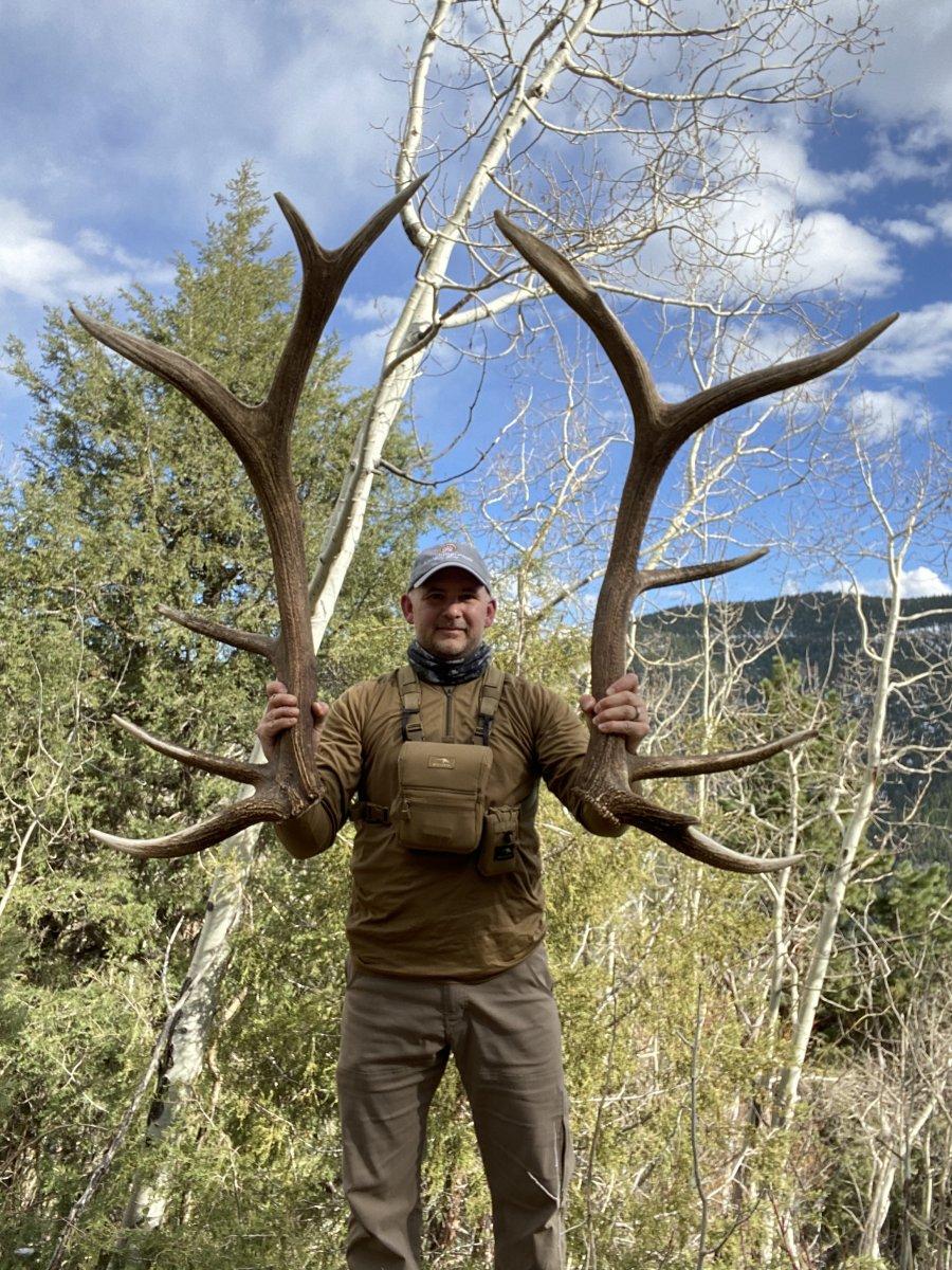 Huge Set of Elk Antlers