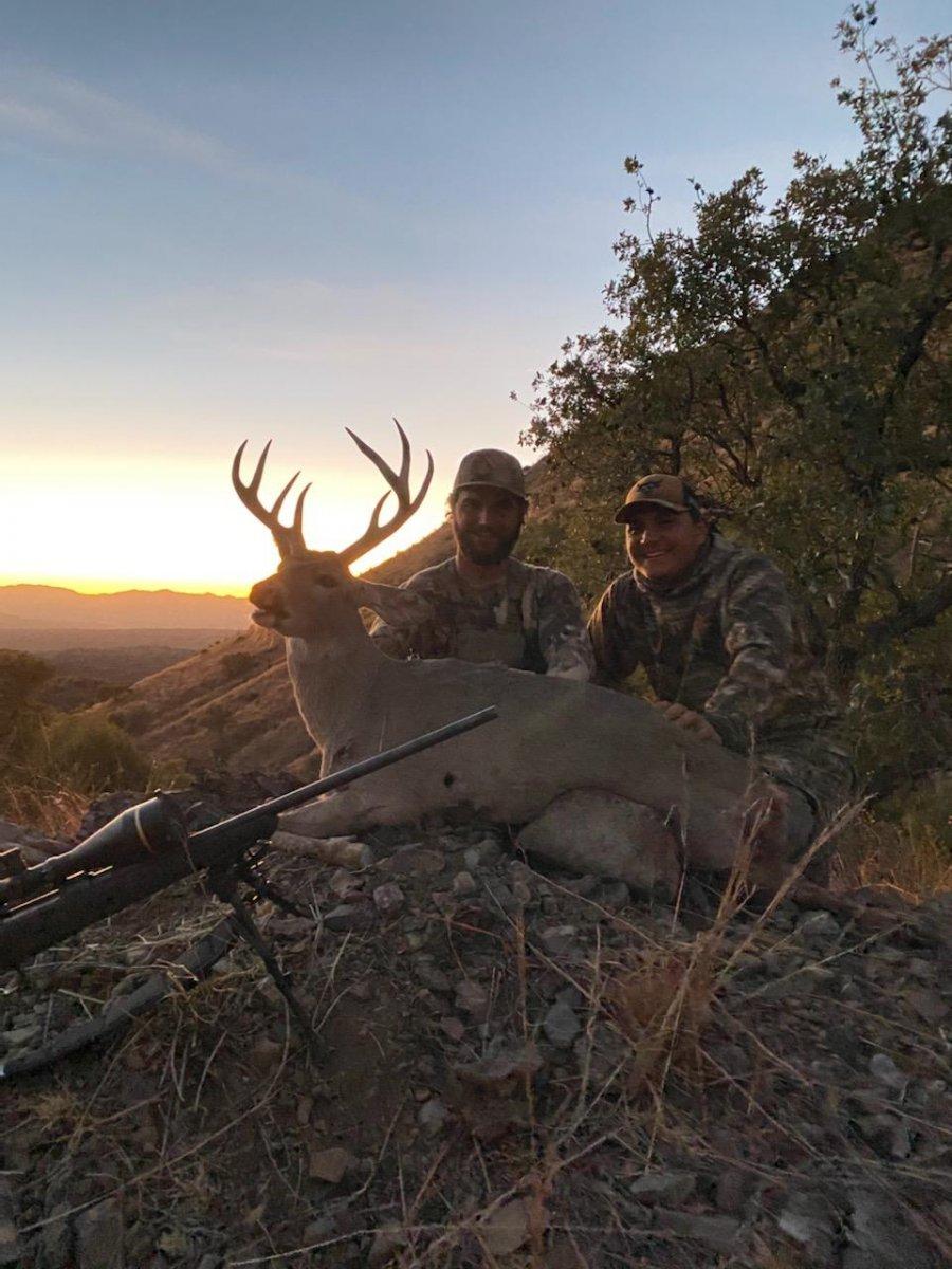 Mexico Coues Deer 2.jpg