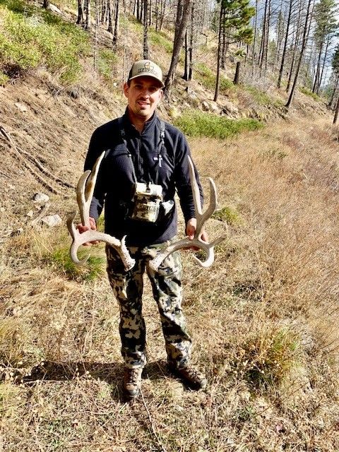 mule deer sheds.jpg