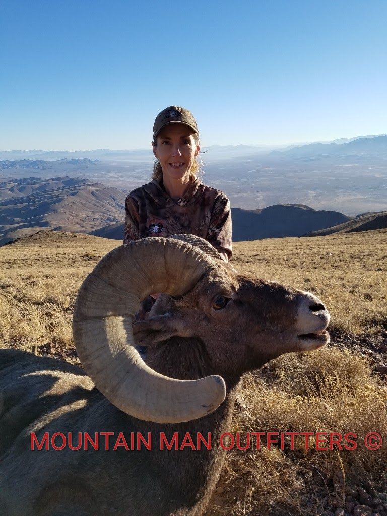 Nancys California Bighorn .jpg