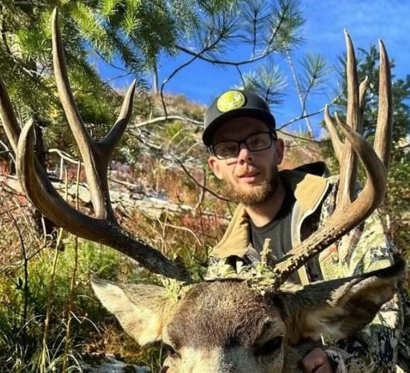 Northern Idaho Mule Deer.JPG