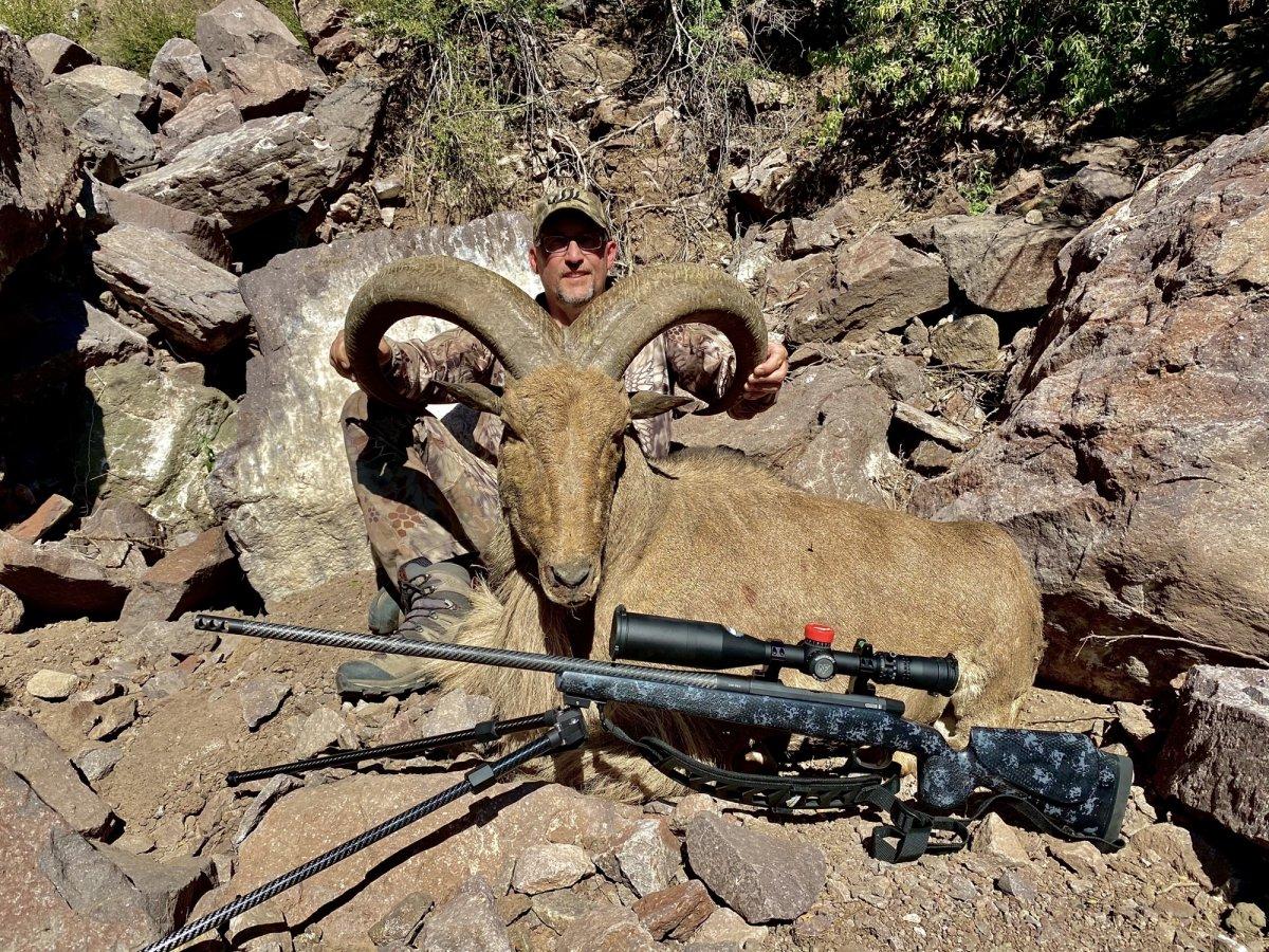 Ultimate Sheep Hunting Gun